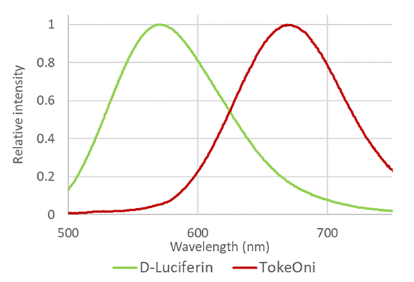 D-Luciferin（560 nm）とTokeOni（675 nm）の発光スペクトル